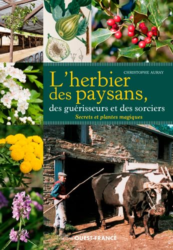 L'herbier des paysans, des guérisseurs et des sorciers : secrets et plantes magiques