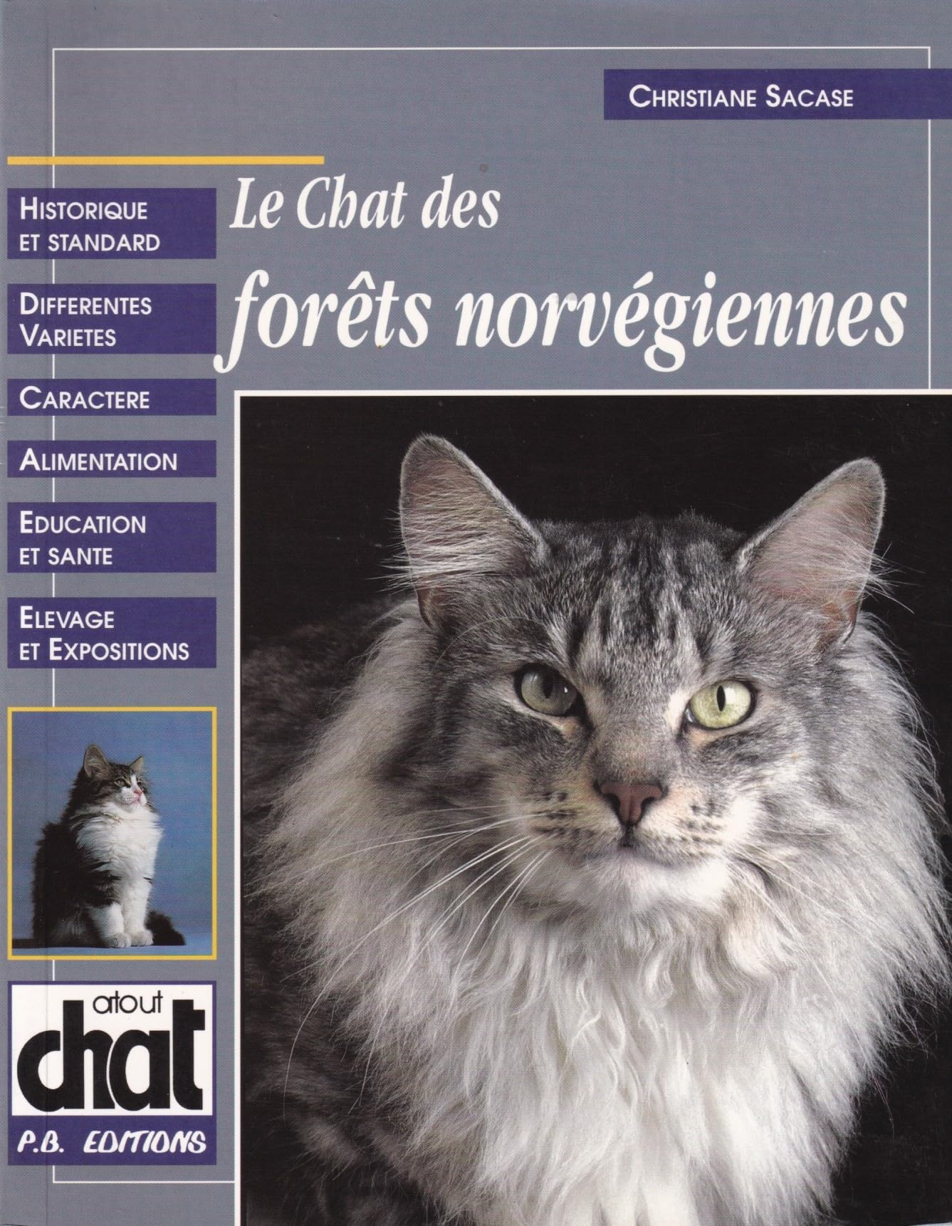 Le chat des forêts norvégiennes
