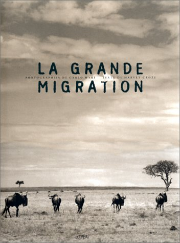 La grande migration des gnous