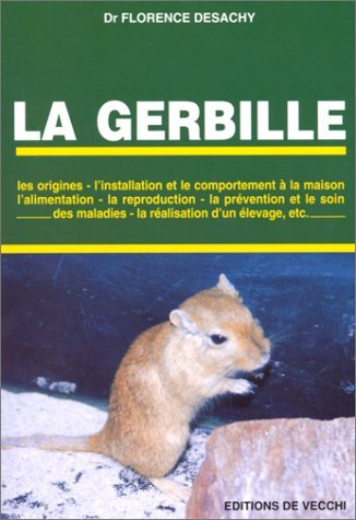 la gerbille : les origines, l'installation et le comportement à la maison
