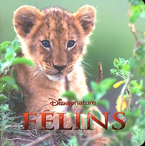 Félins