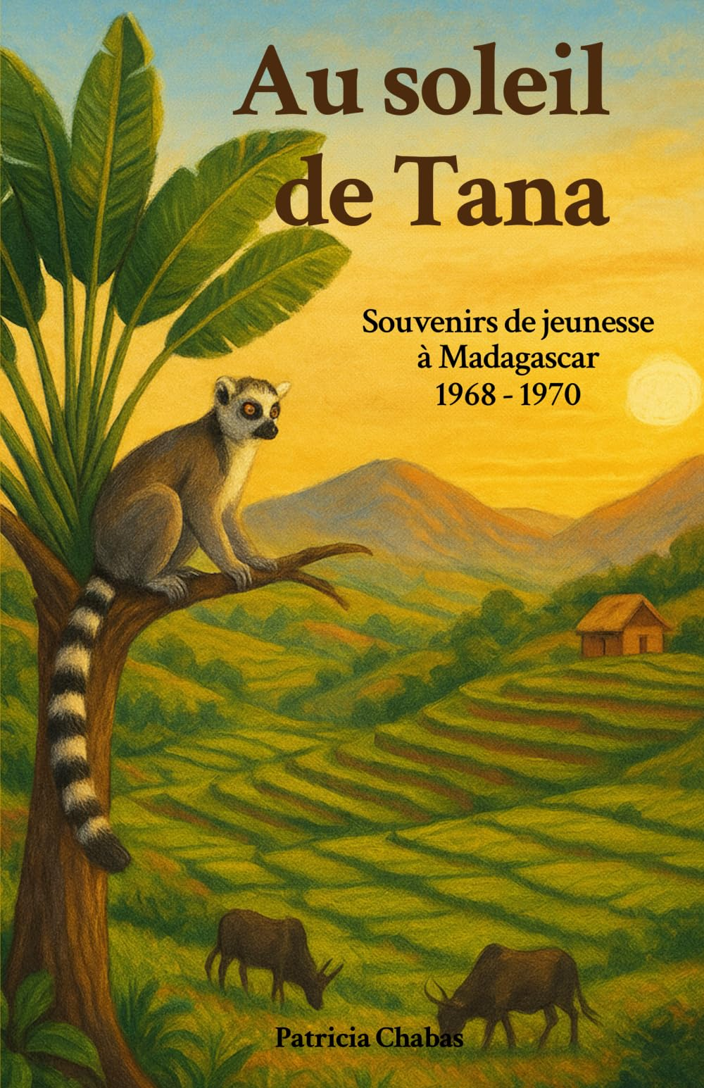 Au soleil de Tana: Souvenirs de jeunesse à Madagascar 1968-1970