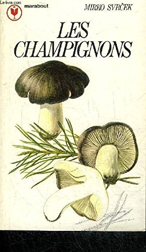 Les Champignons