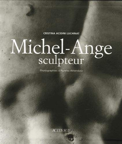 Michel-Ange sculpteur