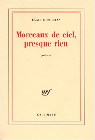 Morceaux de ciel, presque rien