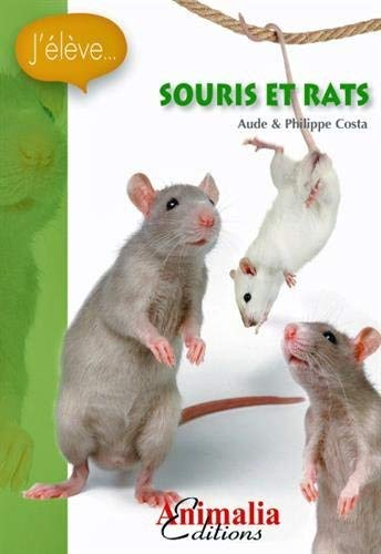Souris et rats