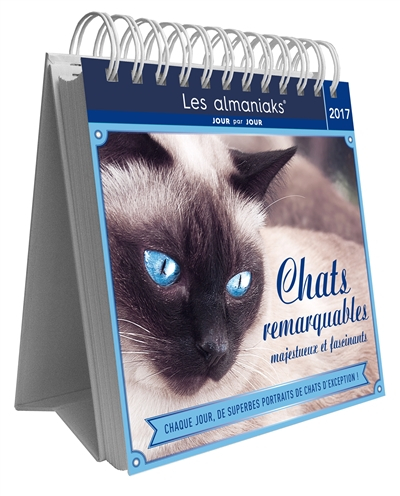 Chats remarquables, majestueux et fascinants 2017 : chaque jour, de superbes portraits de chats d'ex
