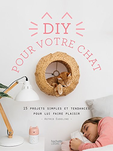 DIY pour votre chat : 15 projets simples et tendances pour lui faire plaisir
