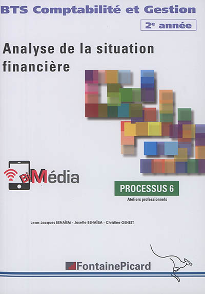 Analyse de la situation financière : BTS comptabilité et gestion 2e année : processus 6, ateliers pr
