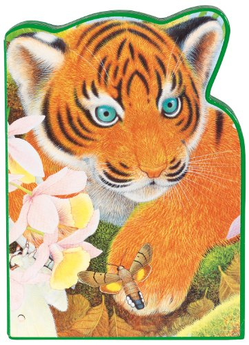 Tavi le tigre : l'Inde