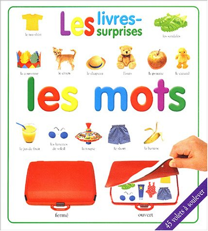 Les mots : 45 volets à trouver