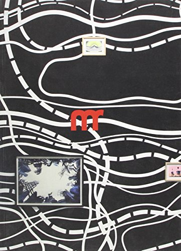 Central station, la collection Harald Falckenberg : exposition, Paris, la maison rouge-fondation Ant