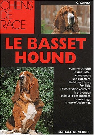Le basset hound