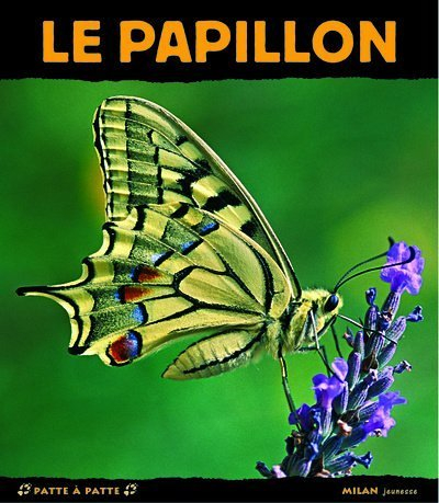Le papillon