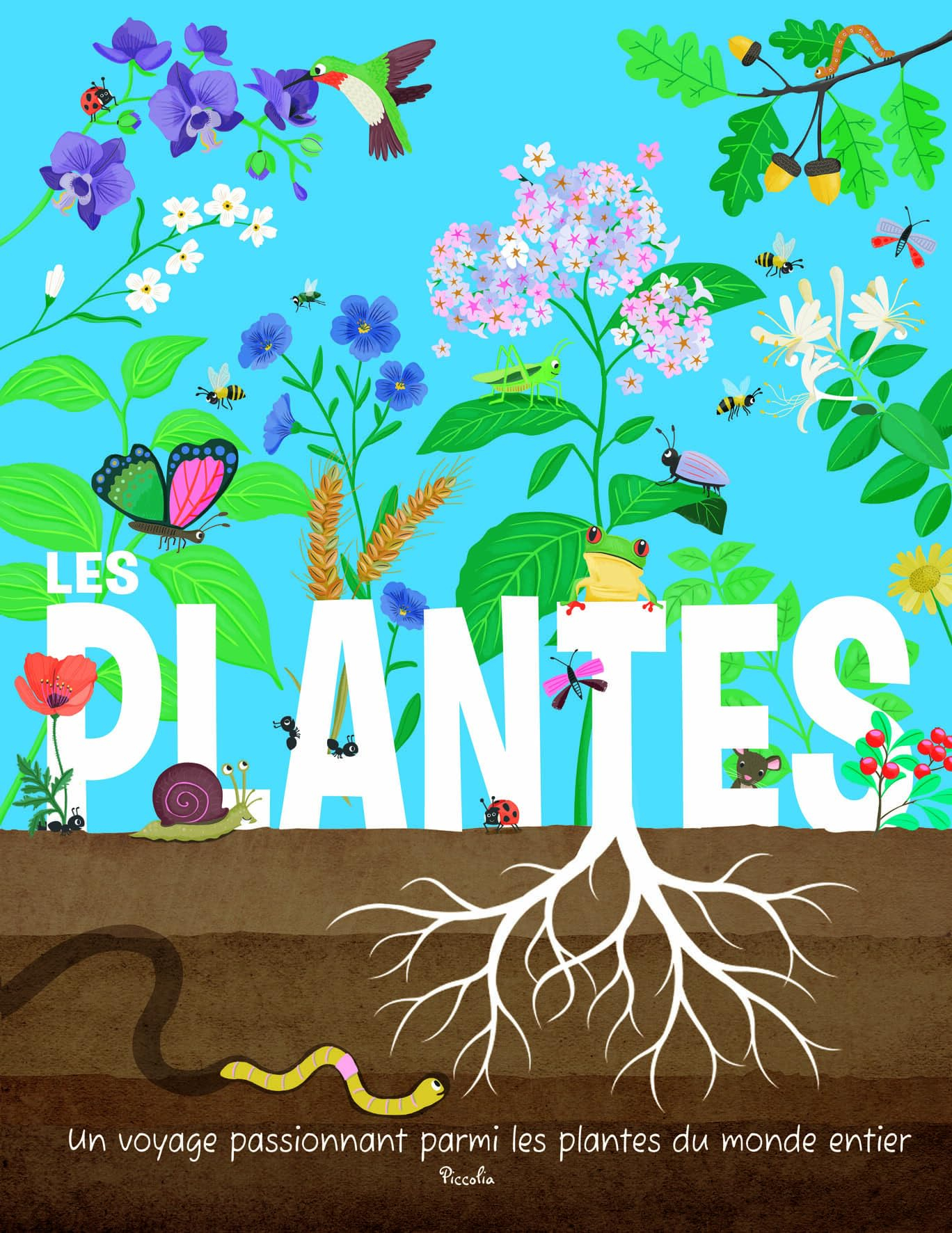 Les plantes : un voyage passionnant parmi les plantes du monde entier