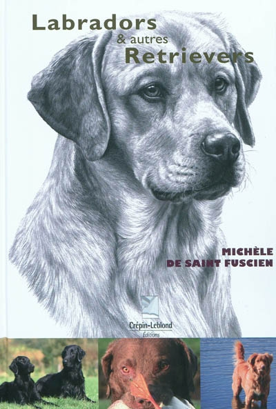 Labradors & autres retrievers