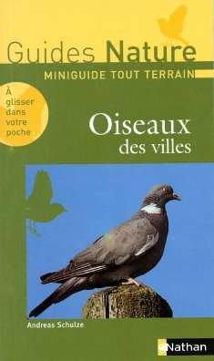 Oiseaux des villes
