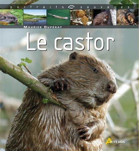 Le castor