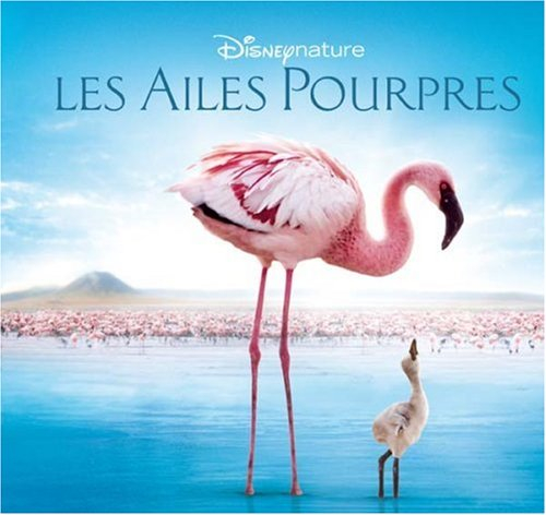 Les ailes pourpres : le mystère des flamants