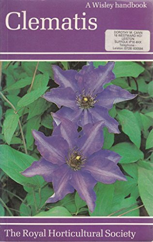 clematis