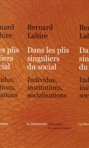 Dans les plis singuliers du social : individus, institutions, socialisations