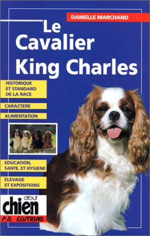 Le cavalier King Charles : historique, standard de la race, caractère, alimentation, éducation...