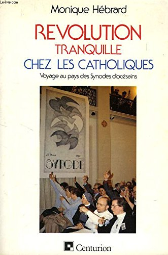 Révolution tranquille chez les catholiques ? : l'expérience des synodes diocésains en France