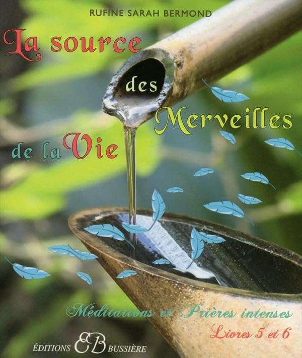 Mes pouvoirs secrets : méditations et prières intenses. Vol. 3. Livres 5 et 6 : la source des mervei