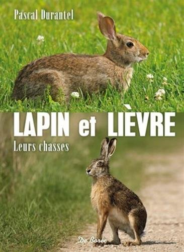 Lapin et lièvre : leurs chasses