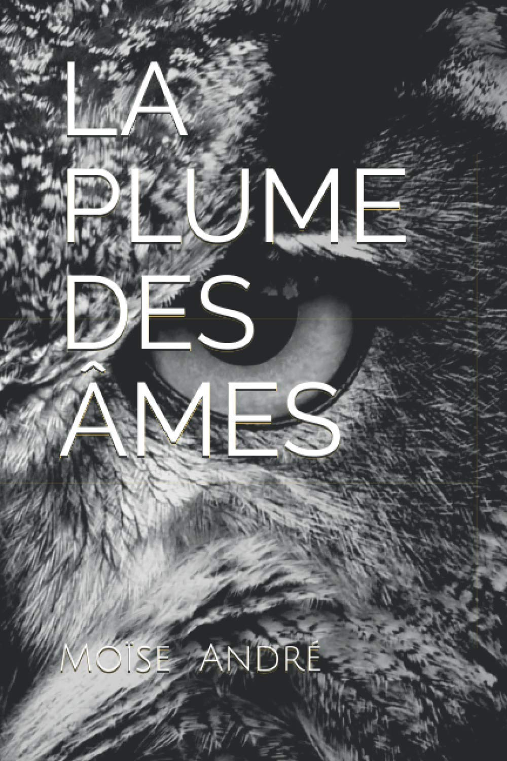 LA PLUME DES ÂMES: Le Livre Perdu