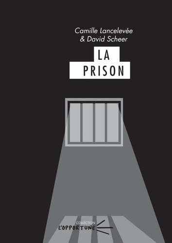 La prison : réalités et paradoxes