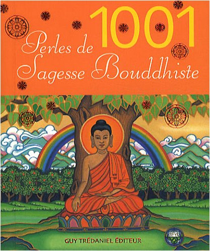 1.001 perles de sagesse bouddhiste