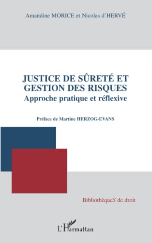 Justice de sûreté et gestion des risques : approche pratique et réflexive