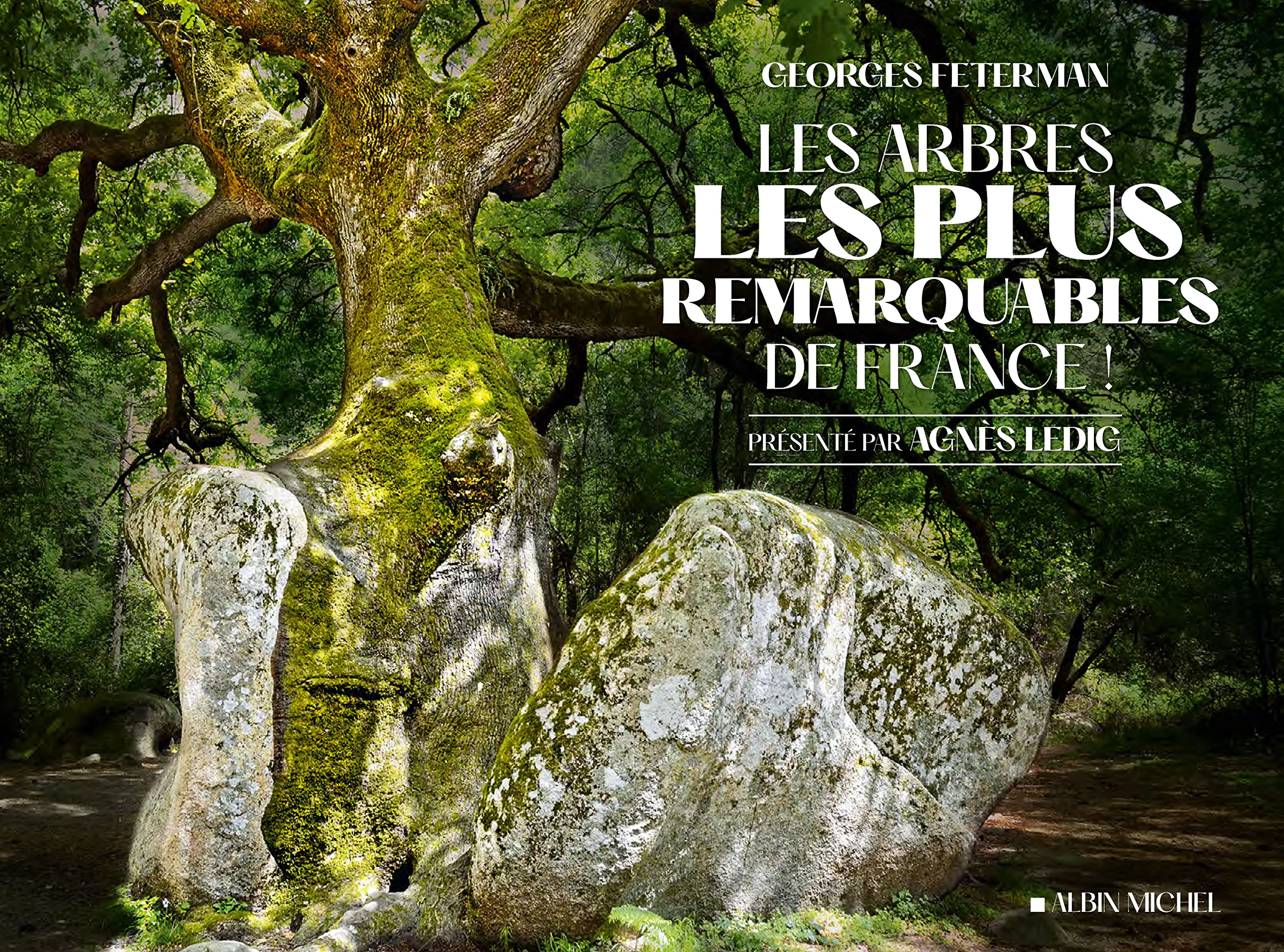 Les arbres les plus remarquables de France !