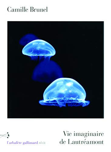 Vie imaginaire de Lautréamont : récit