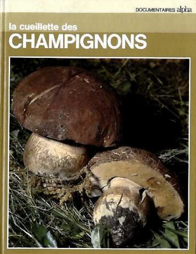 la cueillette des champignons