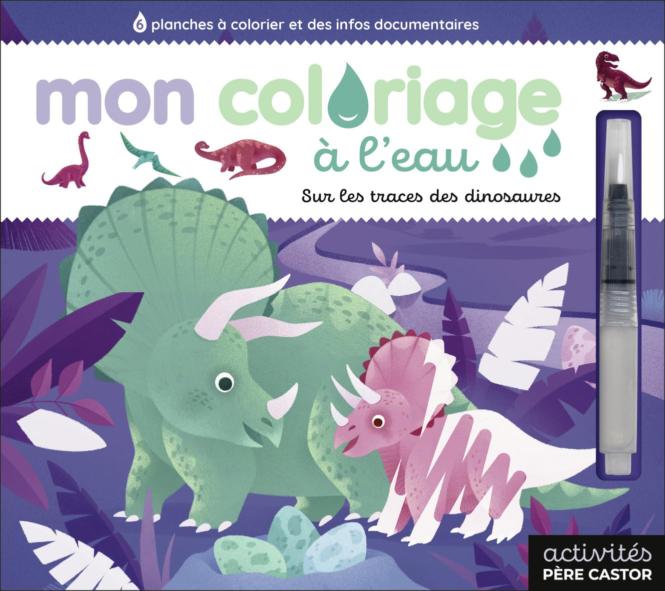 Sur les traces des dinosaures