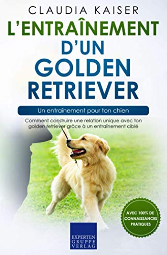 L?entraînement d?un golden retriever ? un entraînement pour ton chien: Comment construire une relati