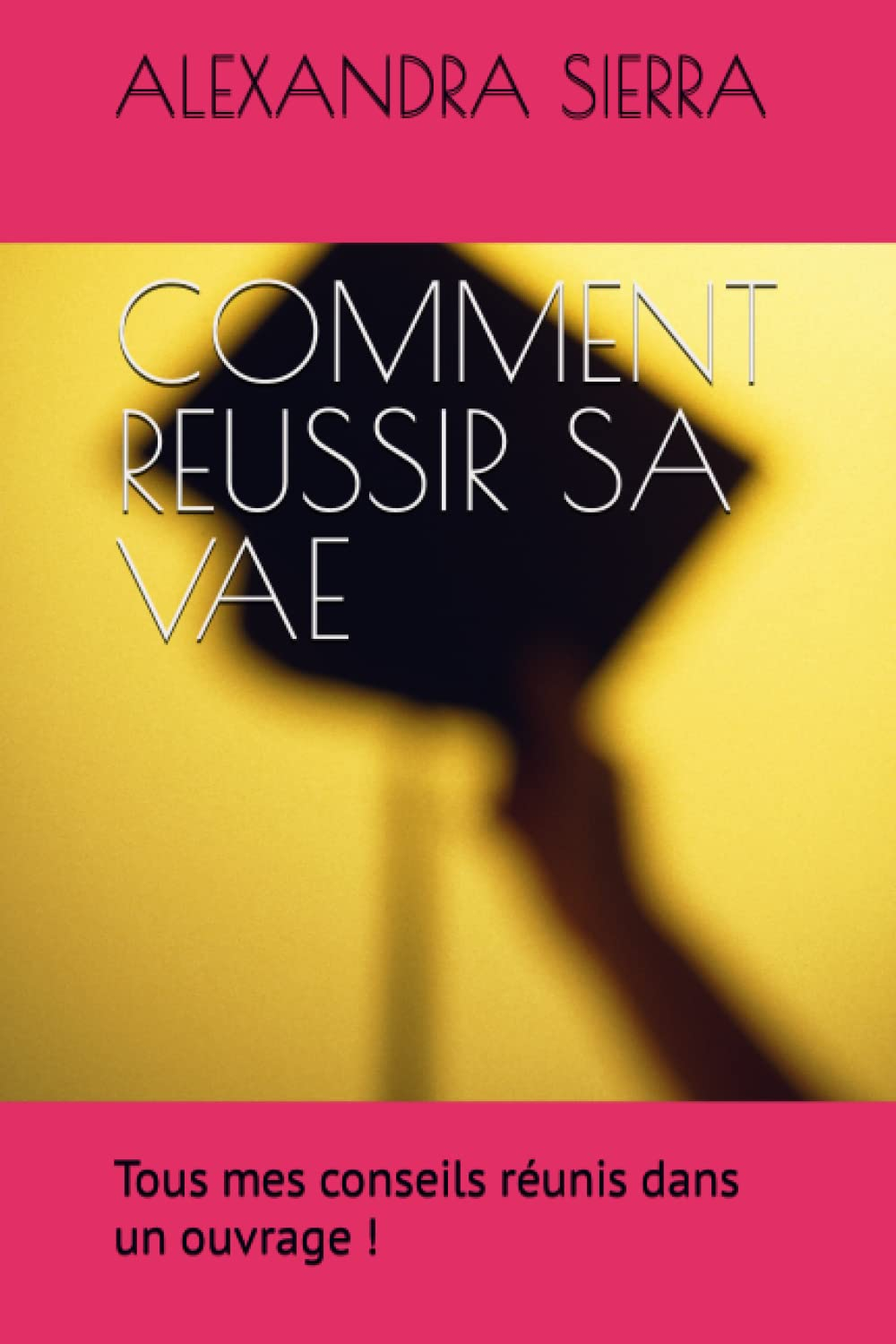 COMMENT REUSSIR SA VAE: Mon parcours, mes conseils et mes recommandations pour vous aider dans cette
