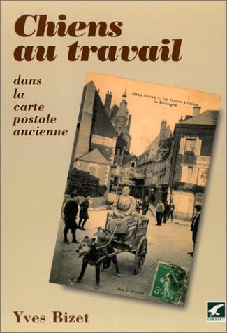 Chiens au travail : dans la carte postale ancienne