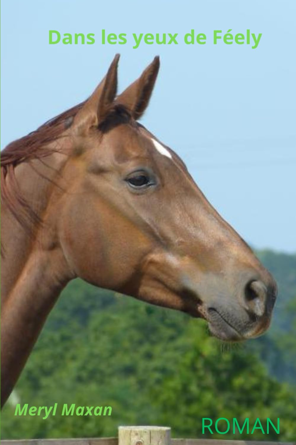 Dans les yeux de Féely