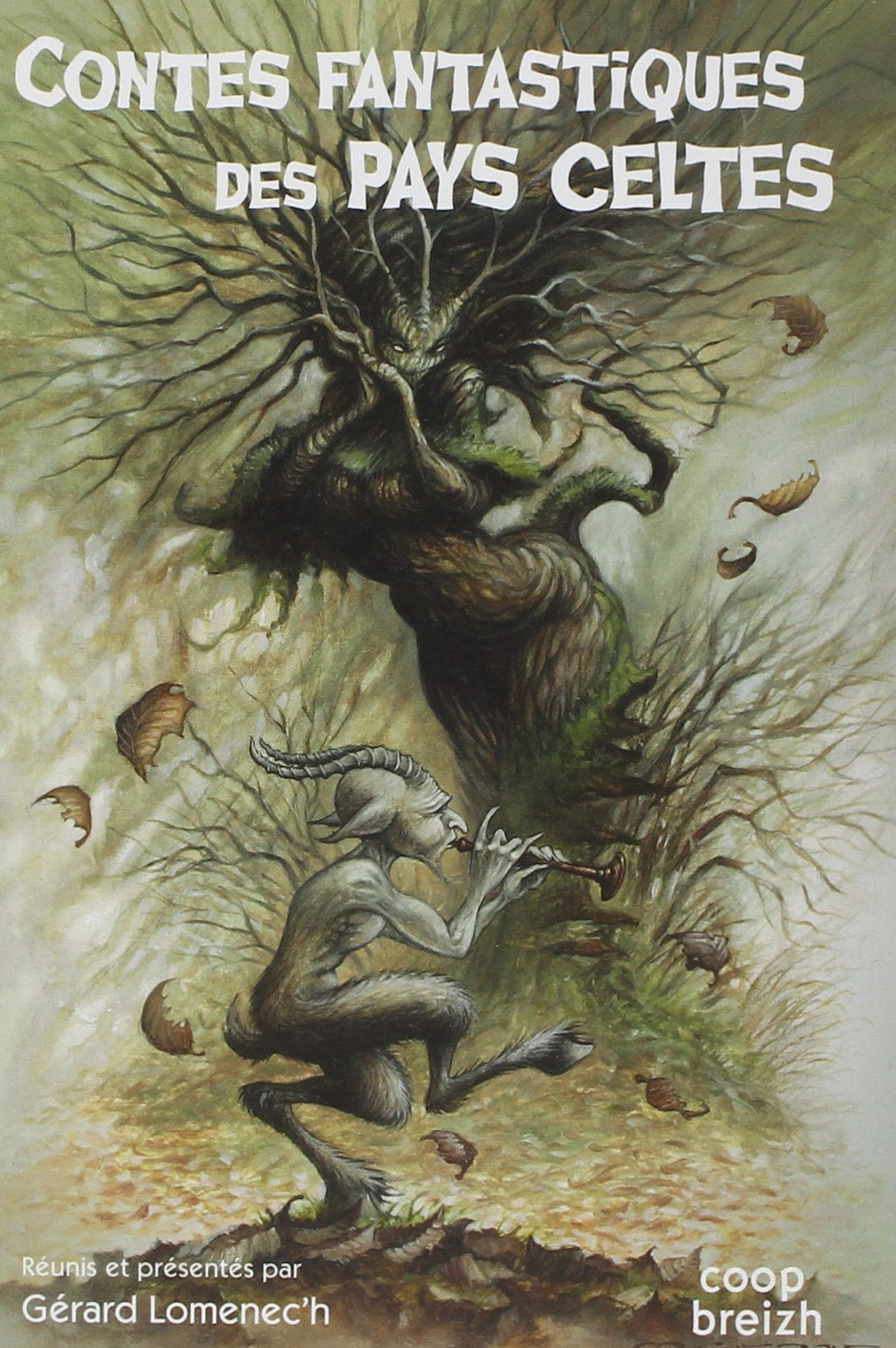 Contes fantastiques des pays celtes