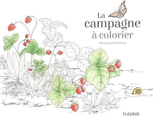 La campagne à colorier et à griffonner