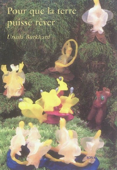 Pour que la terre puisse rêver: 12 contes