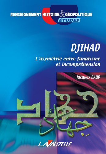 Djihad : l'asymétrie entre fanatisme et incompréhension