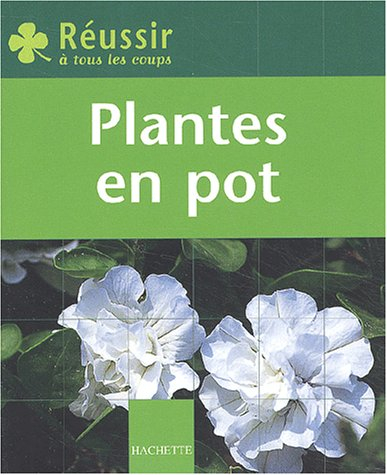 Plantes en pot idéales