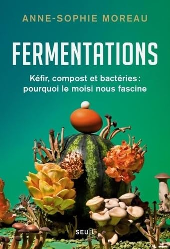 Fermentations : kéfir, compost et bactéries : pourquoi le moisi nous fascine