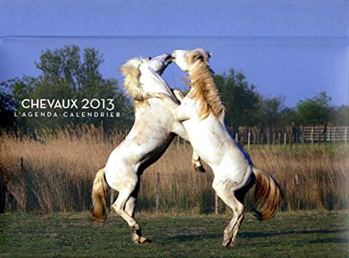 Chevaux 2013 : l'agenda-calendrier