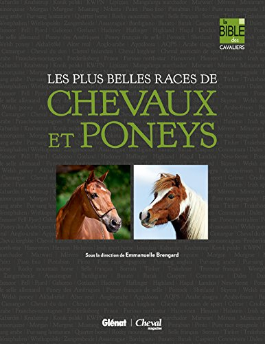 Les plus belles races de chevaux et poneys