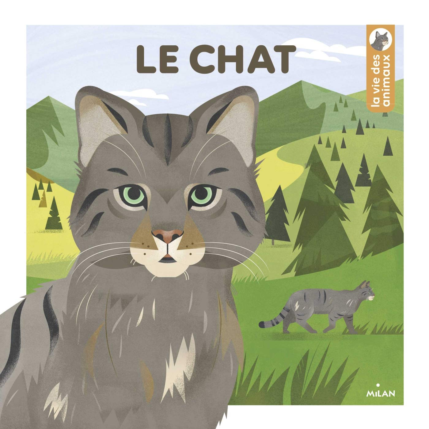 Le chat